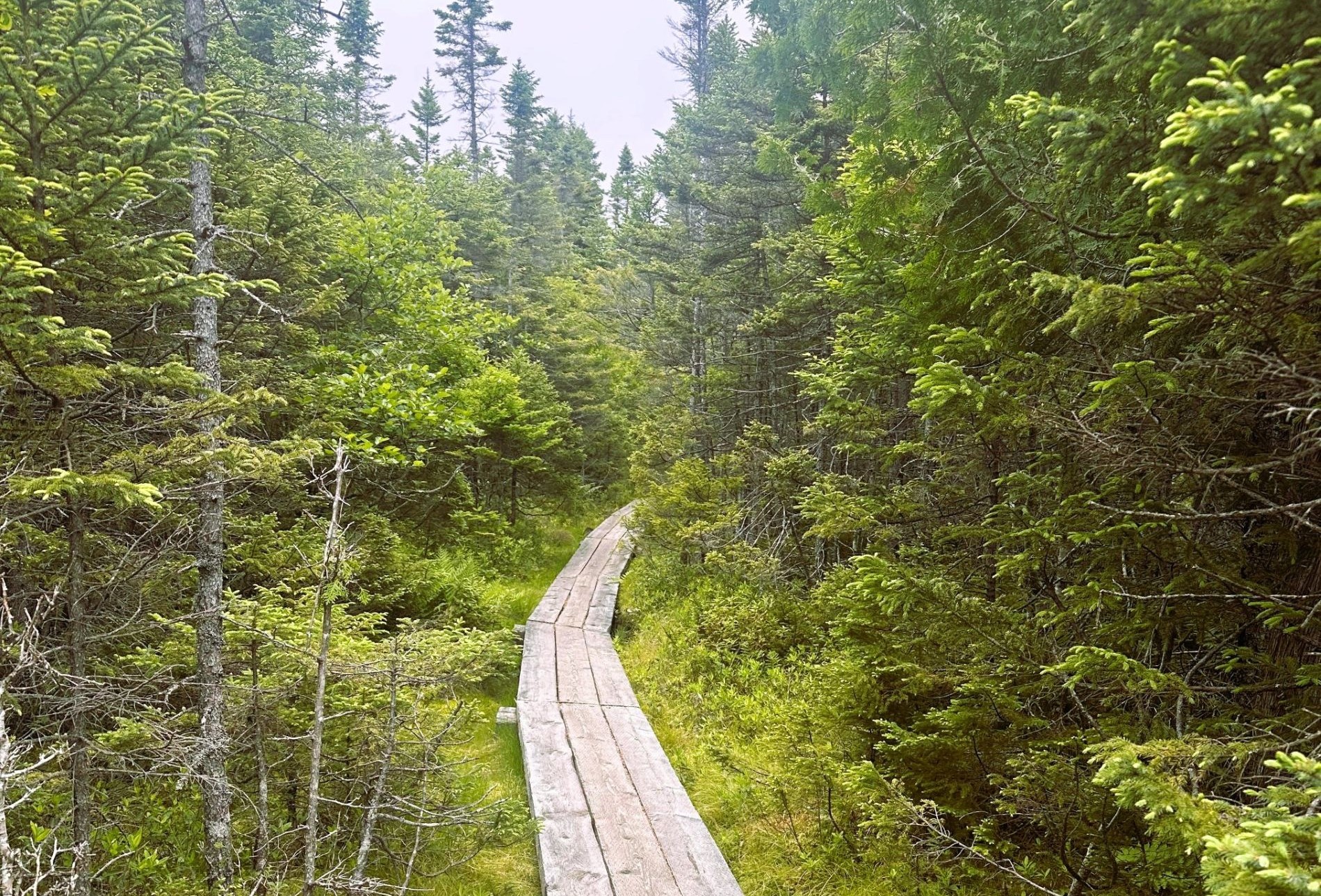 path